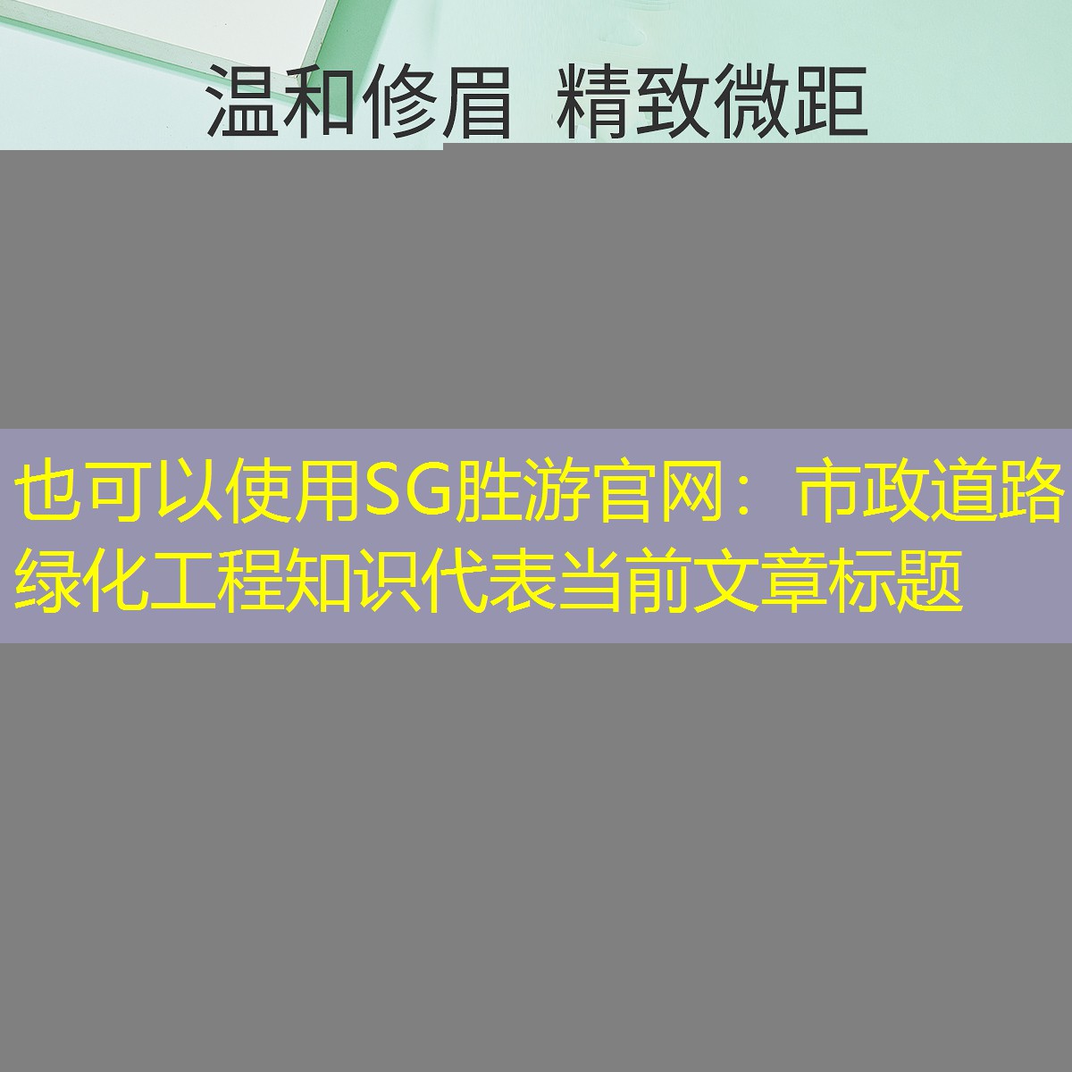 市政道路绿化工程知识 市政道路绿化工程知识