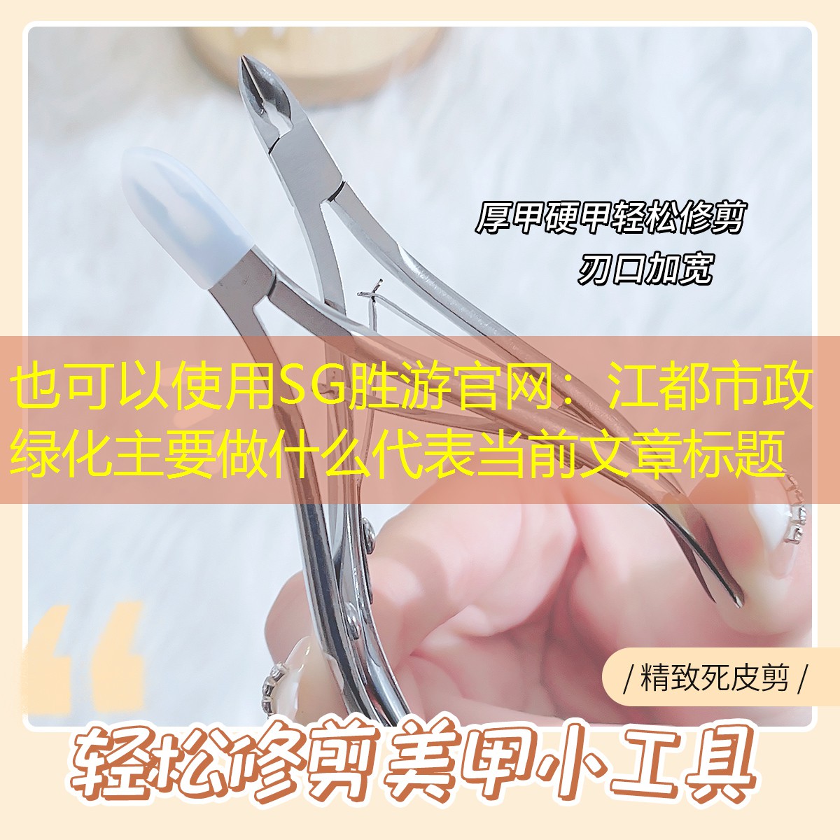 江都市政绿化主要做什么 江都市政绿化主要做什么