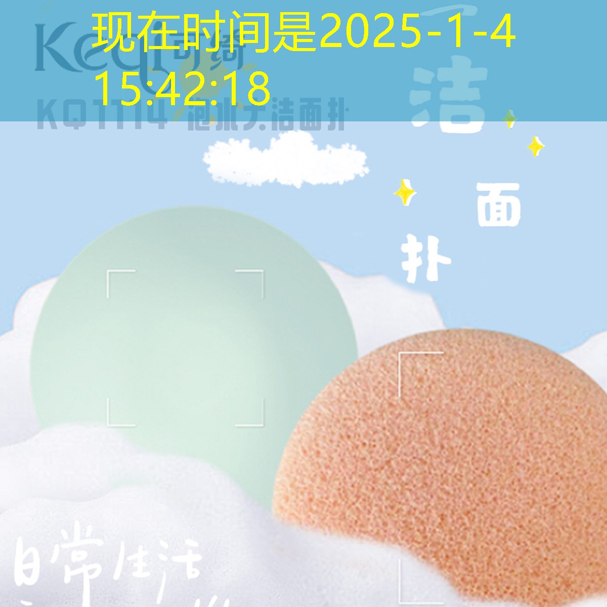 嘉兴城市绿化带植物叫什么 嘉兴城市绿化带植物叫什么