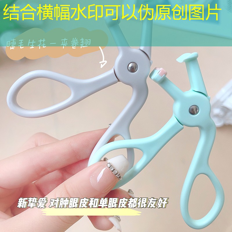 绿化工程杉木根 绿化工程杉木根