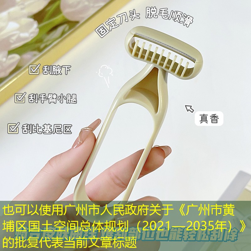 广州市人民政府关于《广州市黄埔区国土空间总体规划(2021—2035年)》的批复 广州市人民政府关于《广州市黄埔区国土空间总体规划(2021—2035年)》的批复