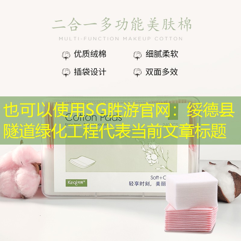 绥德县隧道绿化工程